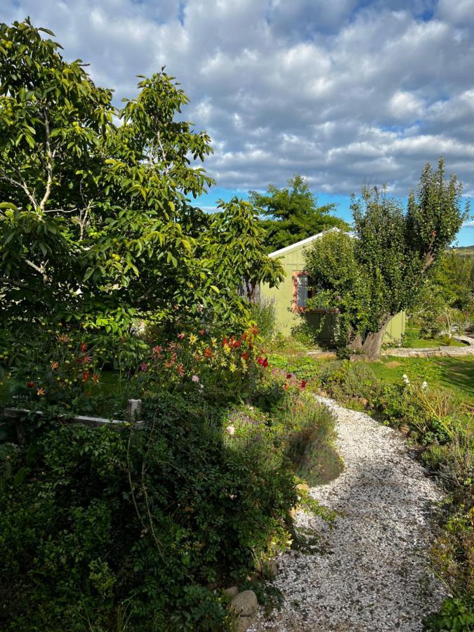 Wisteria Way Guest house